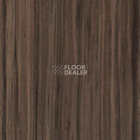 Линолеум Forbo Marmoleum Linear Striato Original 5218 Welsh moor фото 1 | FLOORDEALER